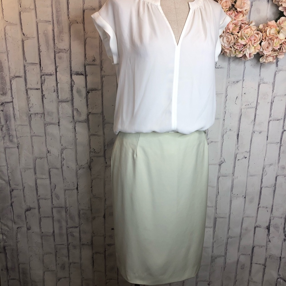 Italian made 100% Wool AGNONA light green skirt